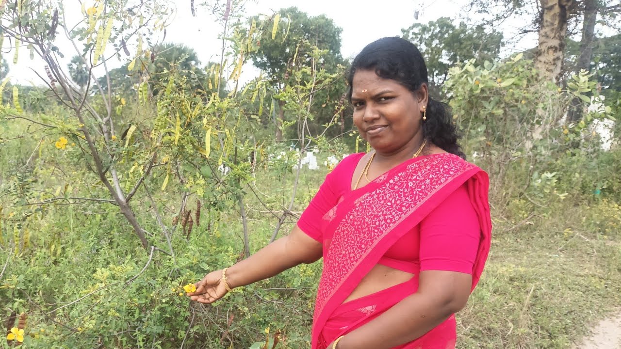 வாழ்க்கையின் சந்தோசமான தருணம் எங்க ஊரு பொங்கல் #treanding#viral #cooking #cooking #video #pongal 