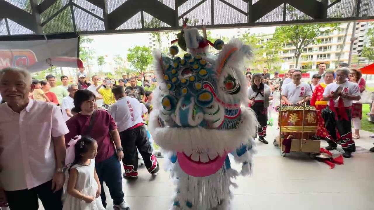 華龍獅藝館 Hua Long Zhoujia Lion Dance Eye Dotting & Cai Qing at Flakyhaus Tampines 21 Feb 2026