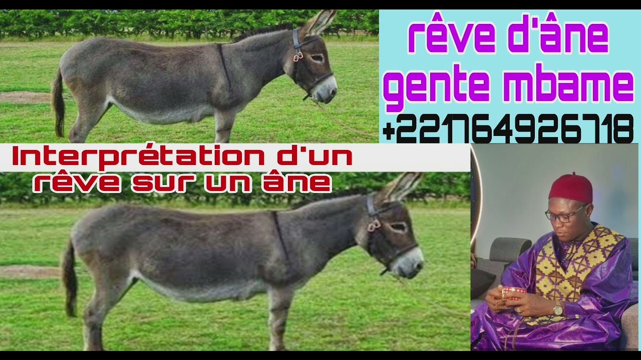 Interprétation d'un rêve sur un âne gente mbame