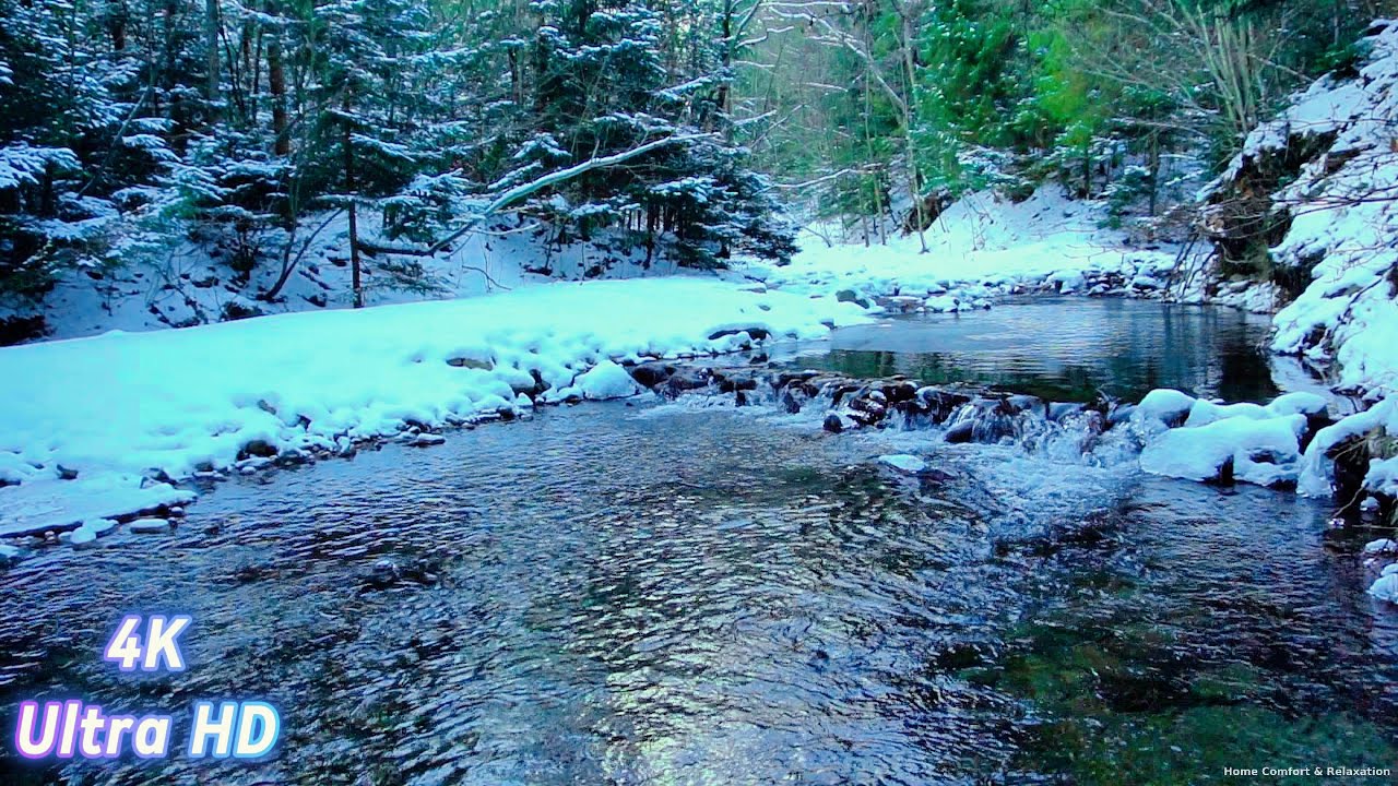 Winter Mountain River Sounds & Birds — White Noise | 8 Hours (No Interruptions) 