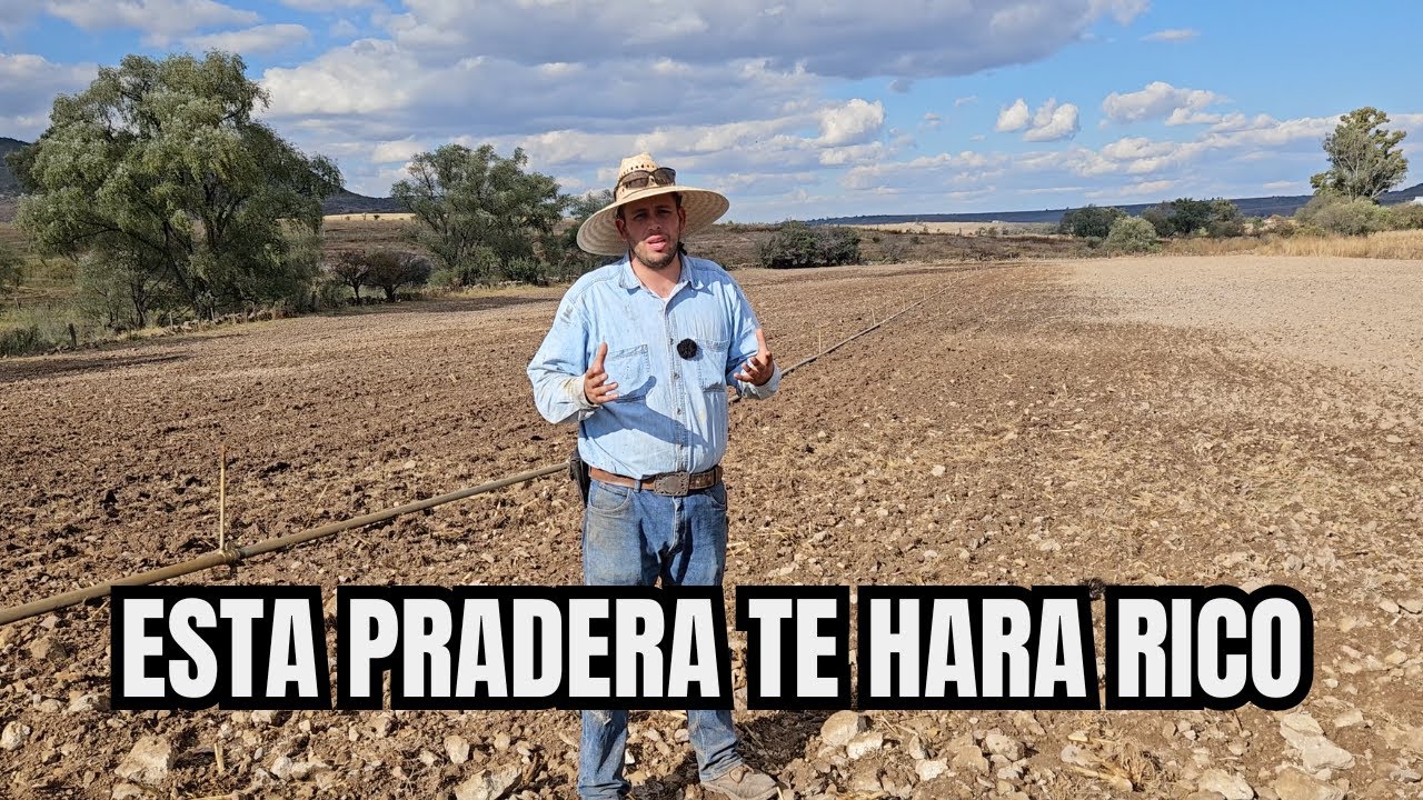 Esta PRADERA te HARÁ RICO | Es MOMENTO de INICIAR la MEJOR INVERSIÓN del AÑO |  RancheandoAndo
