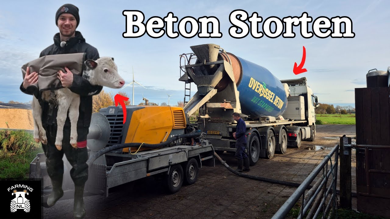 Beton storten in de koeienstal! Mini kalfje geboren