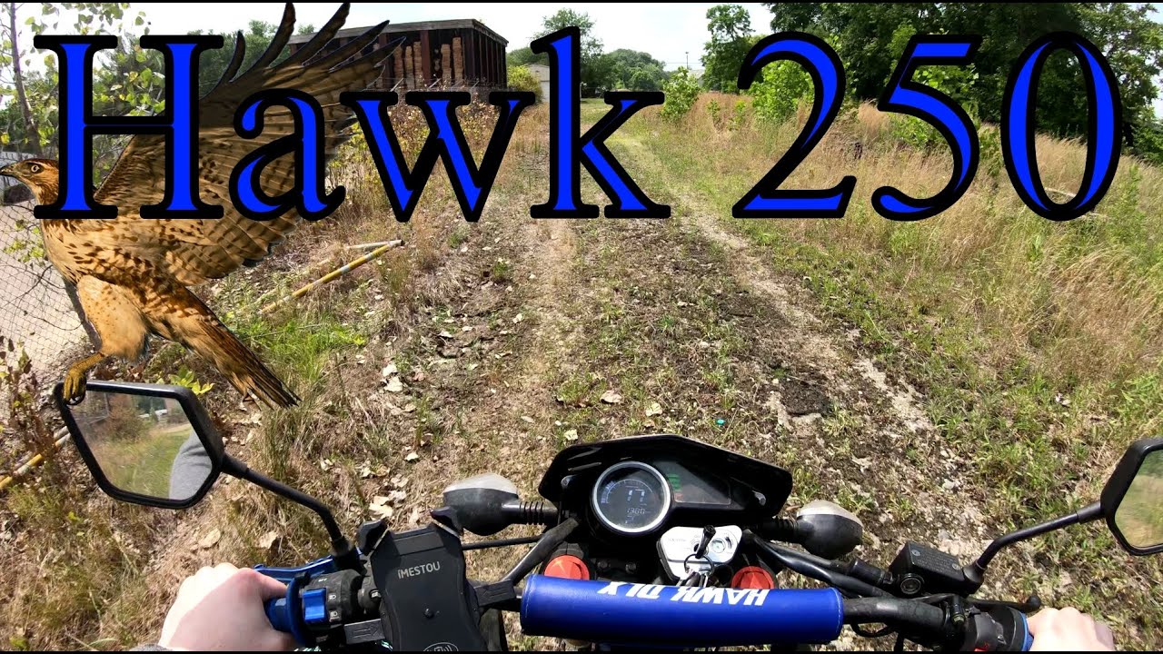Hawk DLX Ride to Work (Honda Clone)