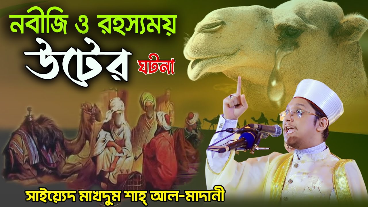 নবীজি ও এক রহস্যময় উটের ঘটনা ।। সাইয়্যেদ শাখদুম শাহ্ আল-মাদানী !! ROYAL TV BD