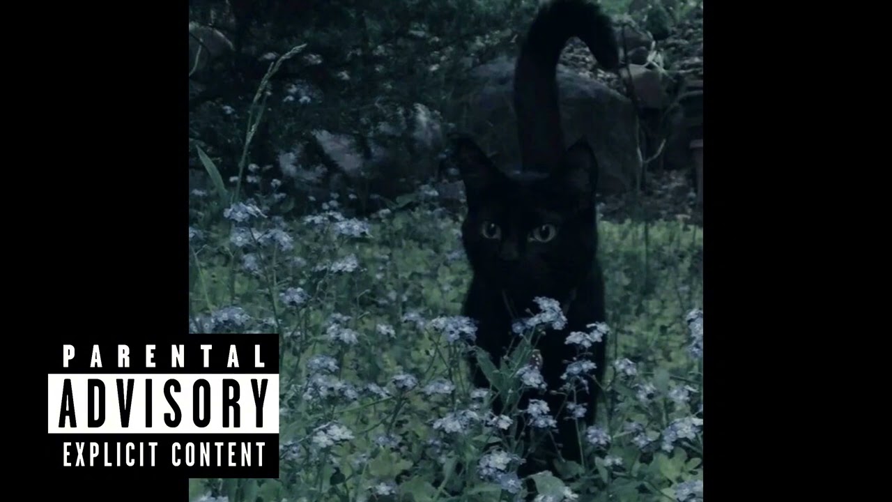 (FREE) Deftones X Wisp type beat “coincidence”