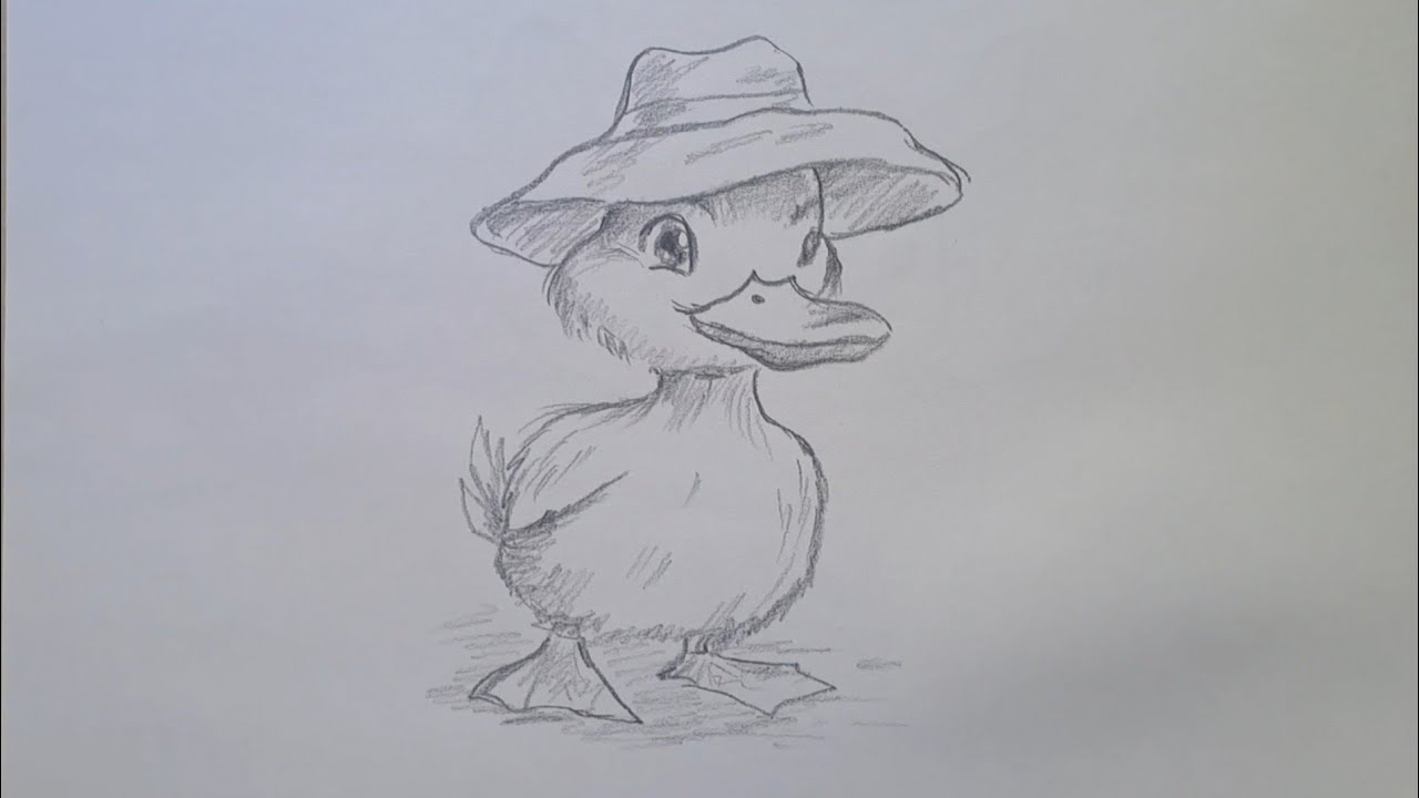 Cómo dibujar un pato con gorro - dibujo paso a paso