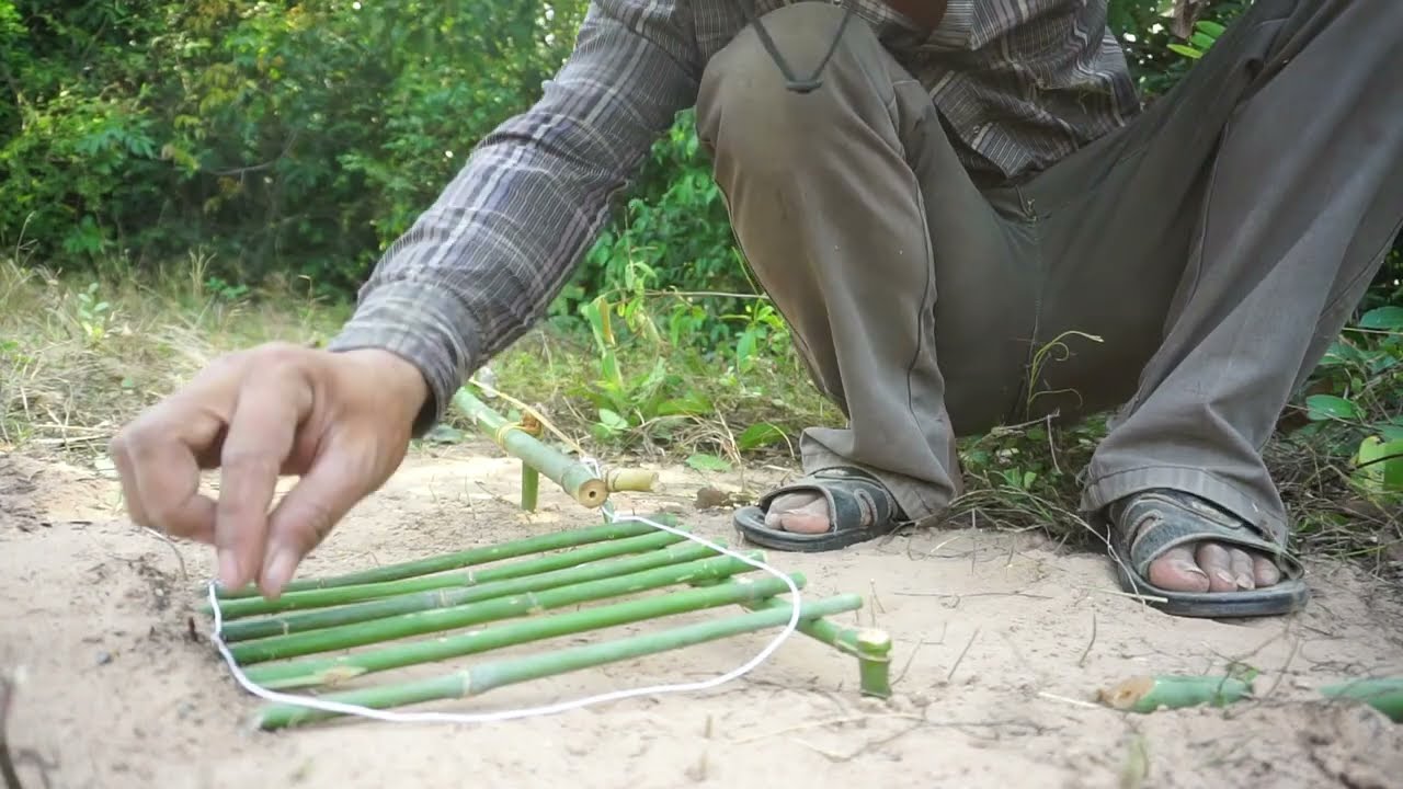 Build Unique DIY Chicken Trap Using Bamboo Wood / How To Build Wild Chicken Trap Work 100%