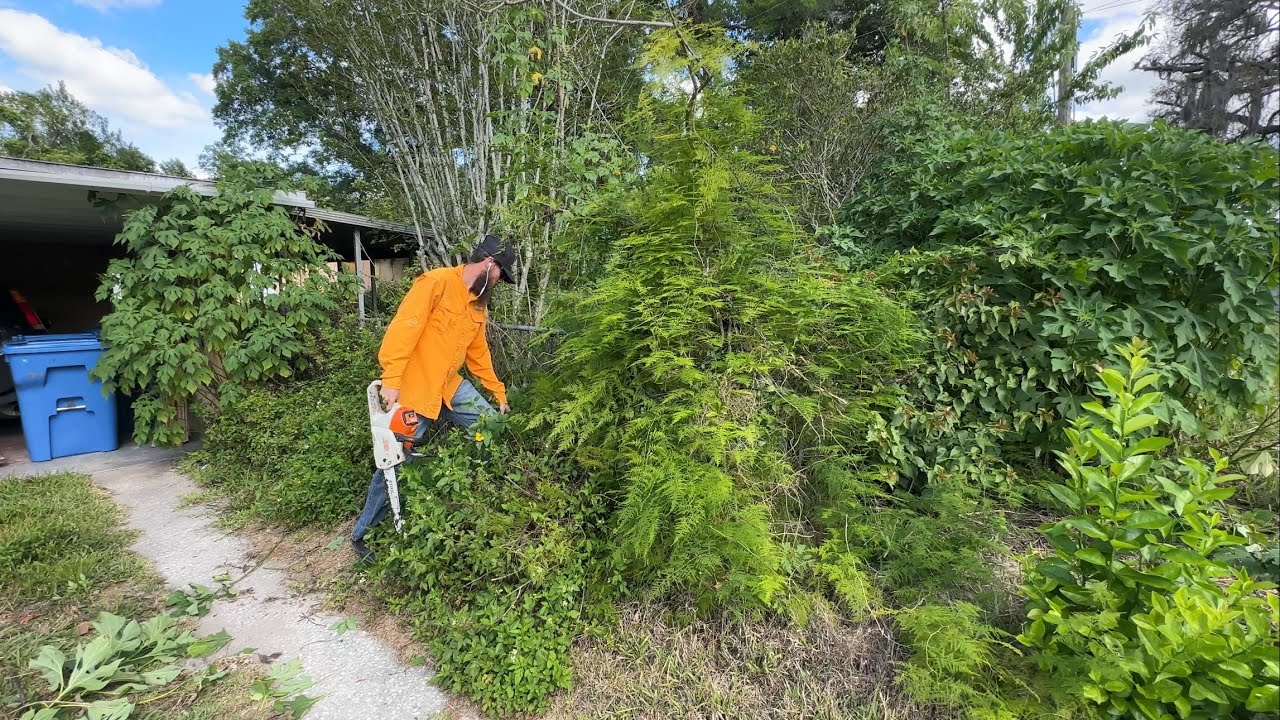 Когда я проезжал мимо этого дома, я думал, что он ЗАБРОШЕН, но это была СЕМЬЯ, которой НУЖНА была...