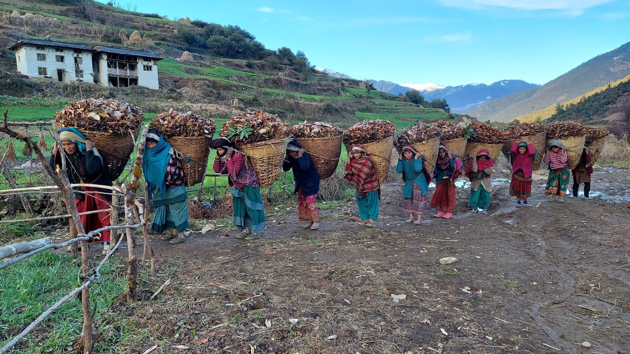 Amazingly Beautiful Nepali Mountain Life: Very Hard Lifestyle of Nepali Village || IamSuman