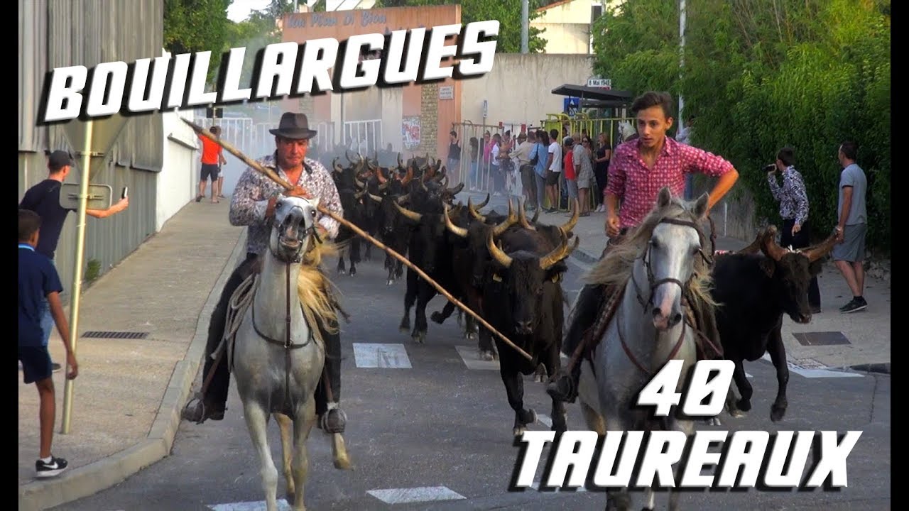 BOUILLARGUES 40 Taureaux 07-08-2017 🐂