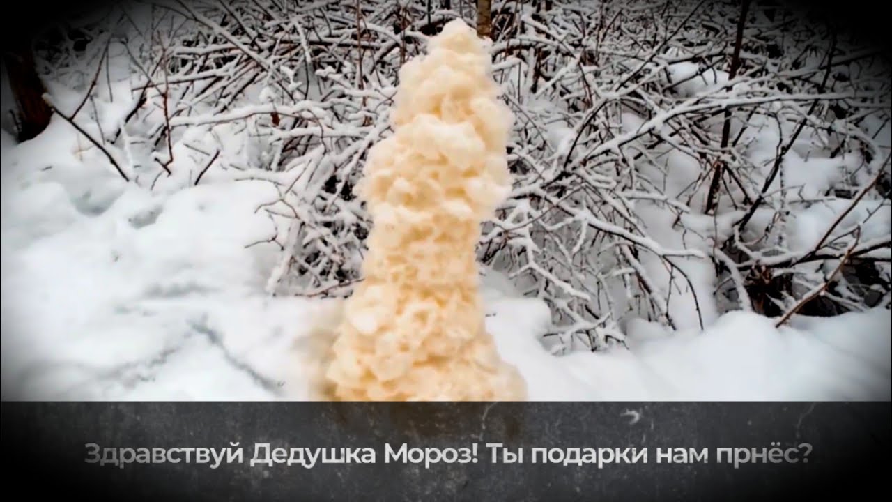 17 января 2026 г.