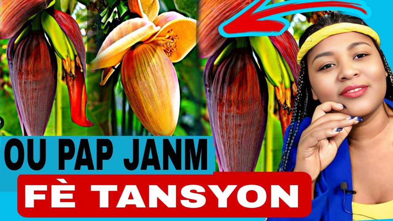 “Sispann Soufri Tansyon & Diabèt! Eseye Pòpòt Banane Jodi a… Rezilta Etone!”