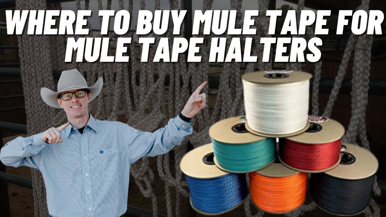 Where To Buy Mule Tape For Halters - Mule Tape Halter Secrets