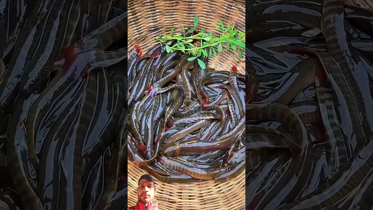 #новое #кулинария