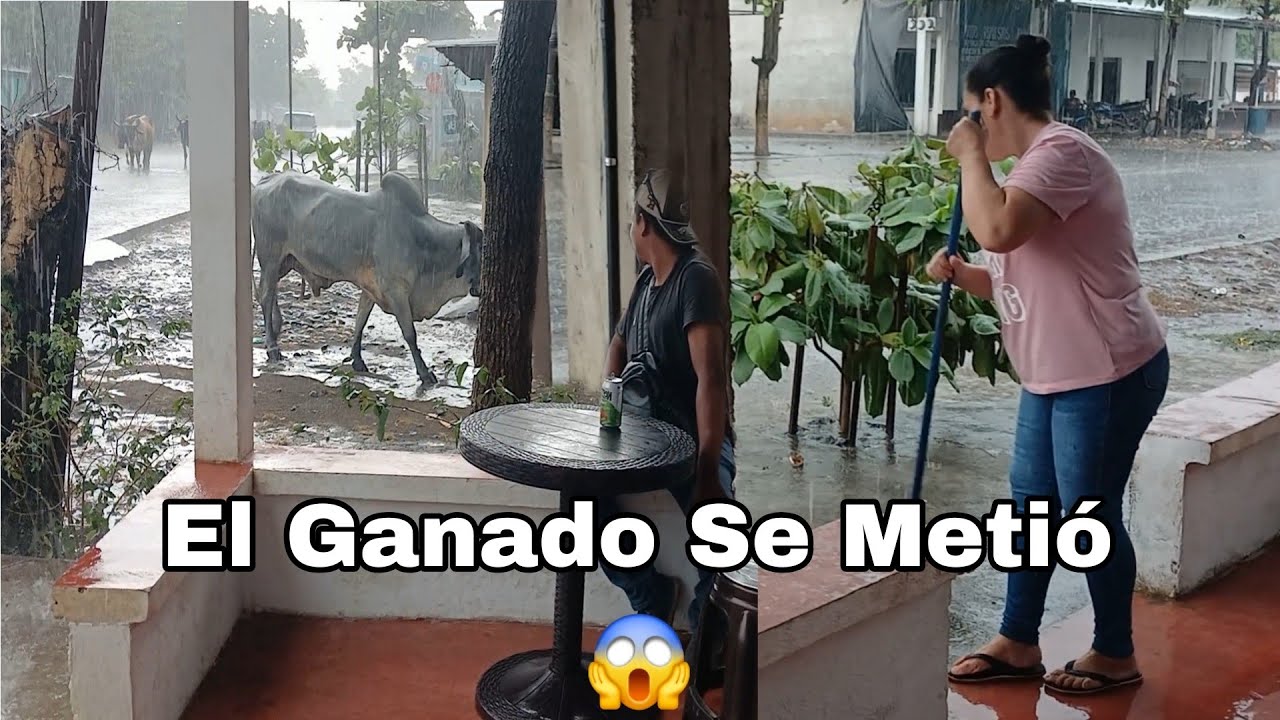 Llueve Ha Cántaros 😯 El Agua Invade La Tiendita 😱