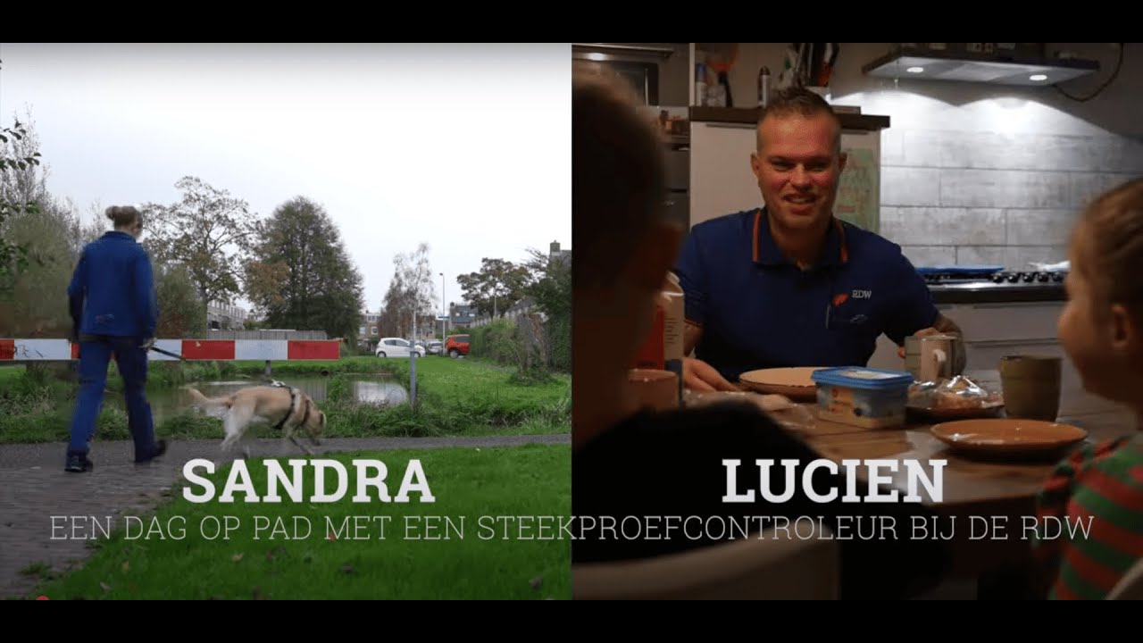 Werken bij de RDW als Steekproefcontroleur