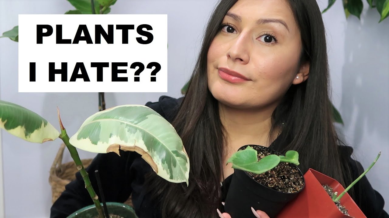 🌿PLANTS I REGRET BUYING (NEVER AGAIN)🚫