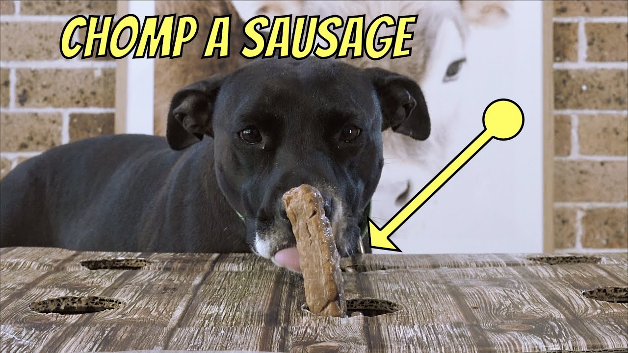 Dog Chomp-A-Sausage