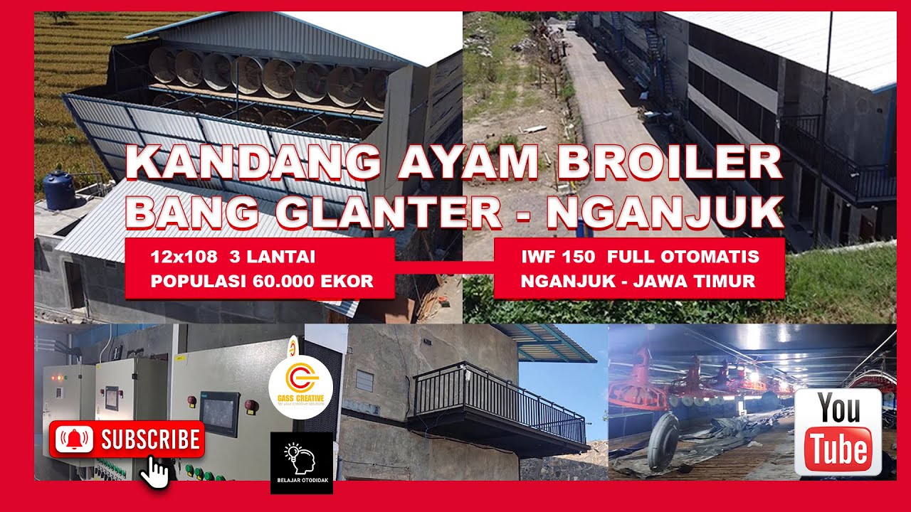 REVIEW KANDANG AYAM BROILER CLOSE HOUSE 12X108 3 LANTAI BANG GLANTER NGANJUK (edisi telat upload)