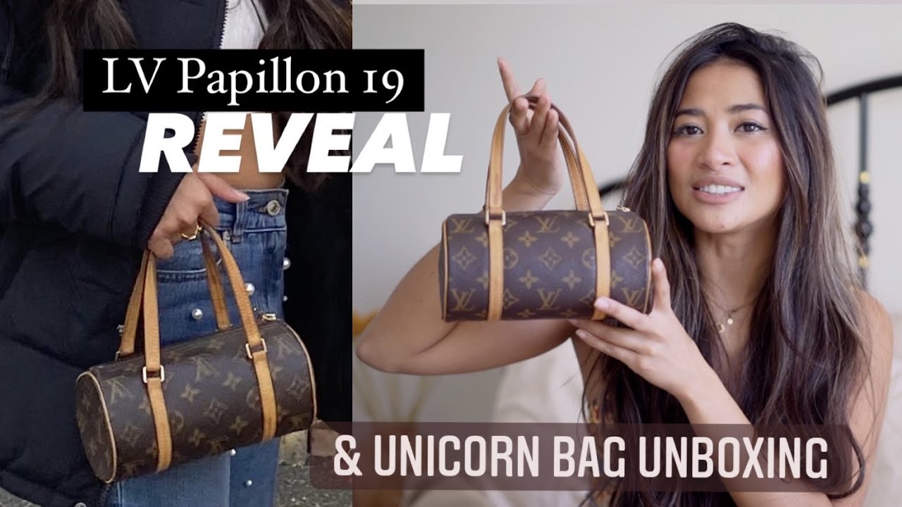 Double Louis Vuitton Handbag Reveal! *UNICORN BAG*
