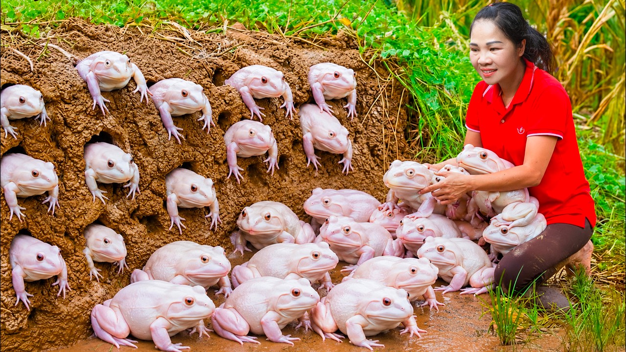 Harvest 1000+ Forest Frog & Go to Market Sell | Frogs burrow underground to live | off the grid