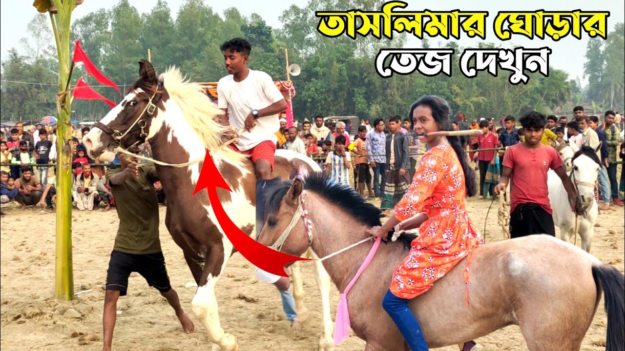 Thousands of spectators from the village rushed to see Taslima's horse racing  horse racing Banglade