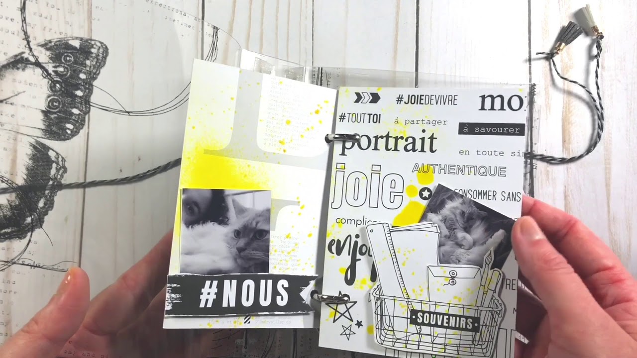 Album Trasparente c/ le carte 