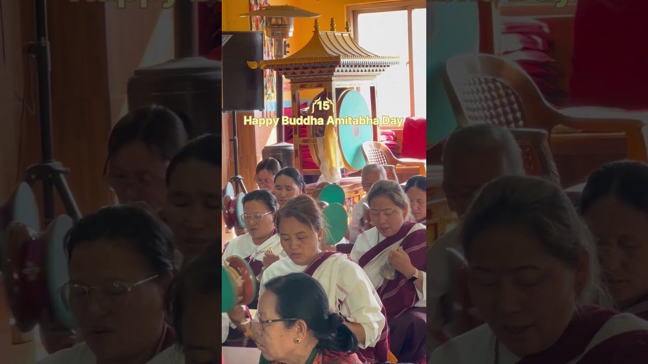 ༼15༽Happy Buddha Amitabha Day #dudjompa #nyingmapa #blessing #buddhistmonk #budhism #buddhist