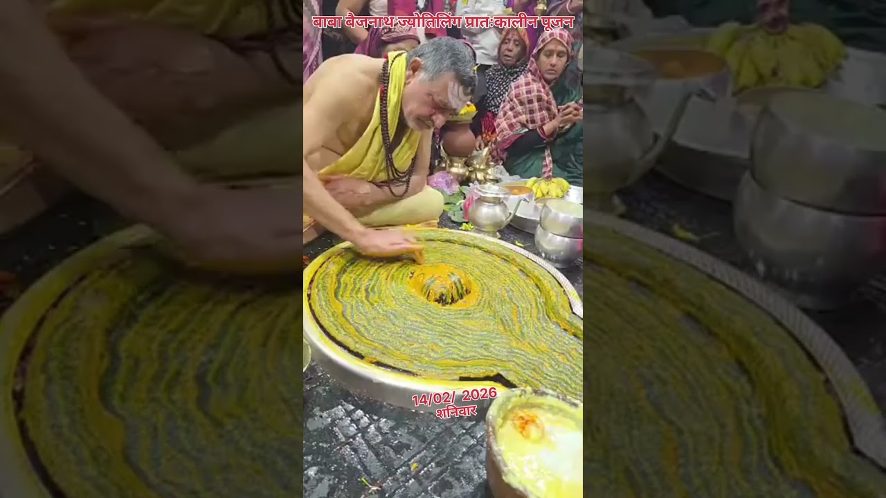 🌺⚘️ बाबा वैद्यनाथ ज्योतिर्लिंग प्रातःकालीन पूजन 🌺🌿 14/2/26 #deoghar #babadham #bholenath #shivratri 