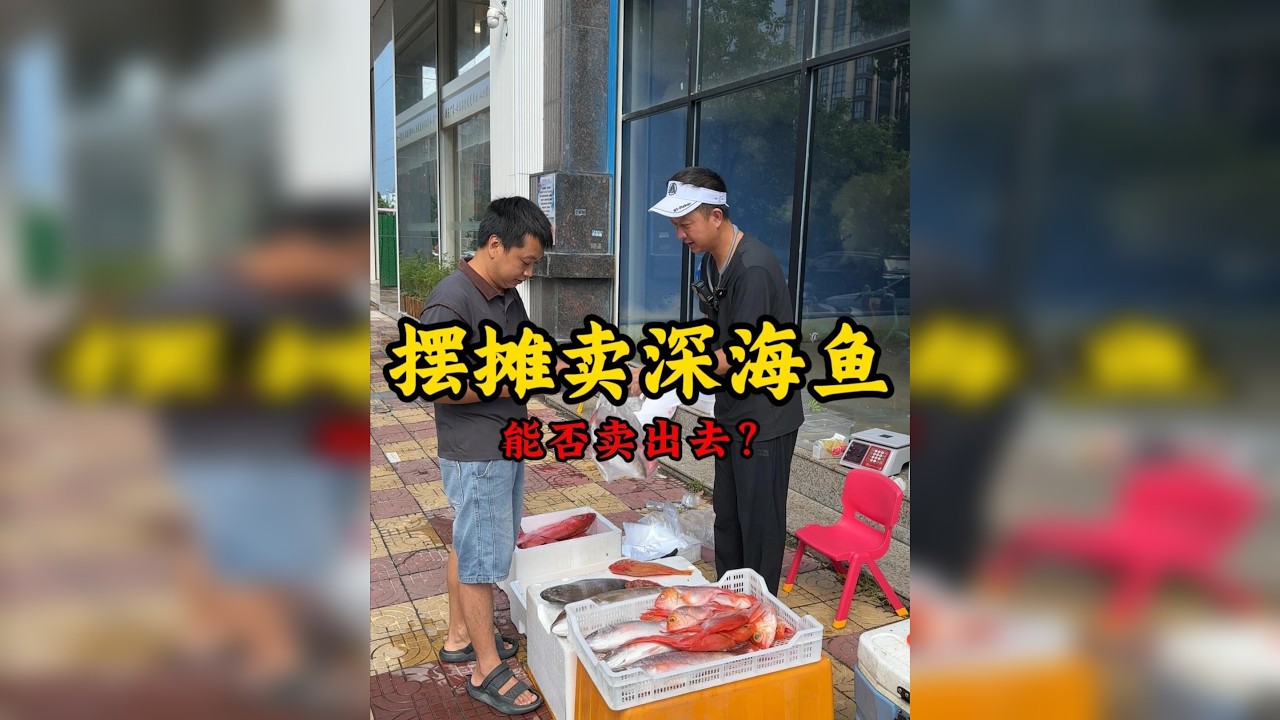 花6000元钓回来的渔获，随机街头摆摊卖鱼真实情况是怎么样？