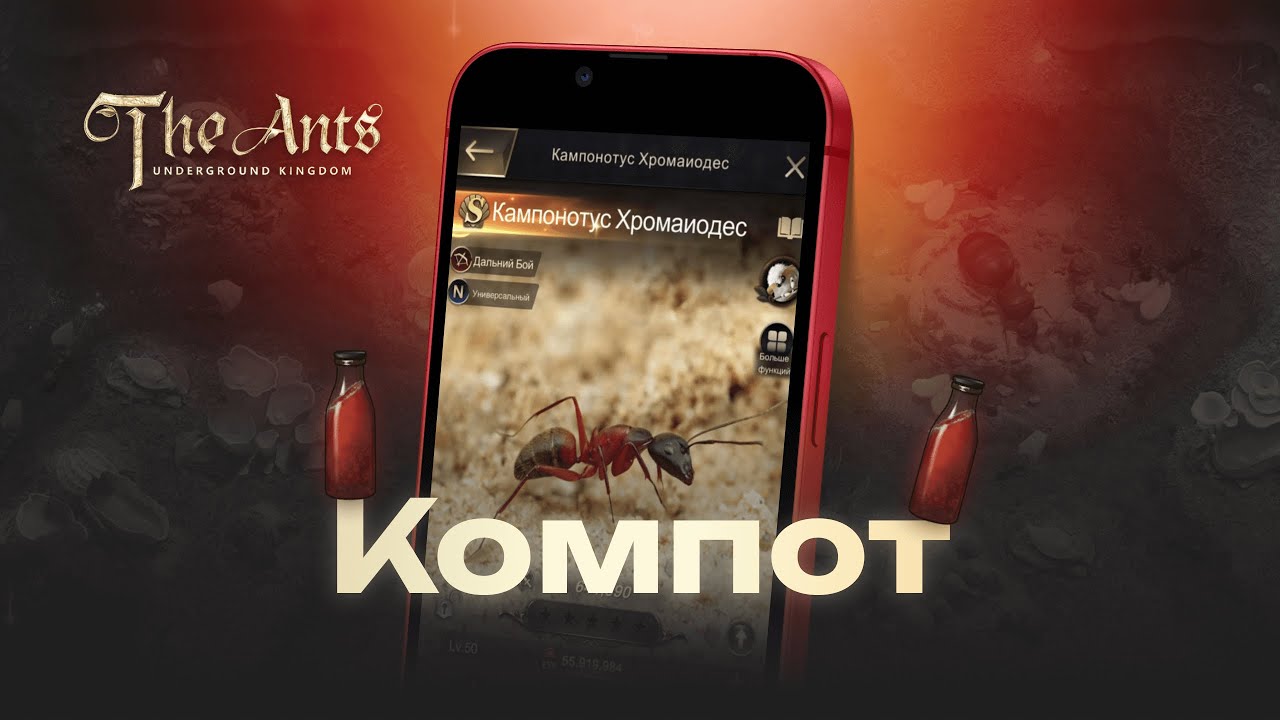 Кампонотус Хромаиодес (компот): платок для слез? Полный разбор и обзор.