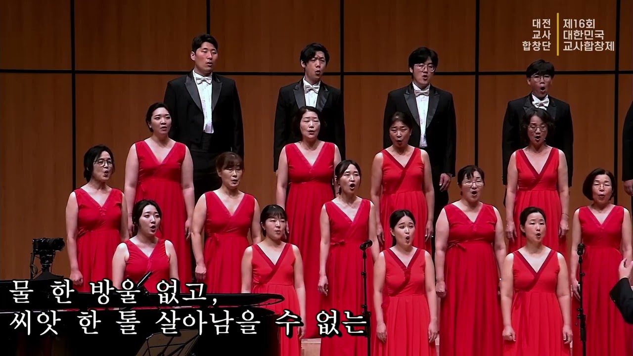 담쟁이(대전교사합창단) #제15회_대한민국교사합창제 #춘천문화예술회관 #대전교사합창단(지휘_김주상) (반주_권순업)