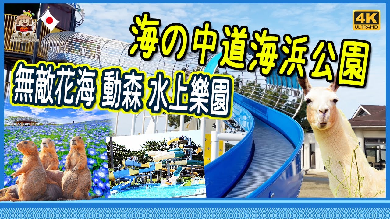 🇯🇵福岡後花園，全國第5大國營公園，動物園、遊樂場、四季花海、水上樂園、水族館、宿營渡假區、酒店集一身[移居日本福岡]