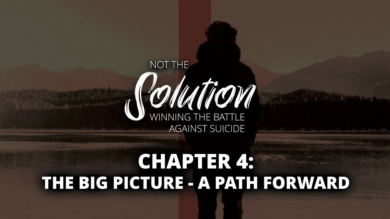 Not The Solution | Chapter 4: The Big Picture - A Path Forward
