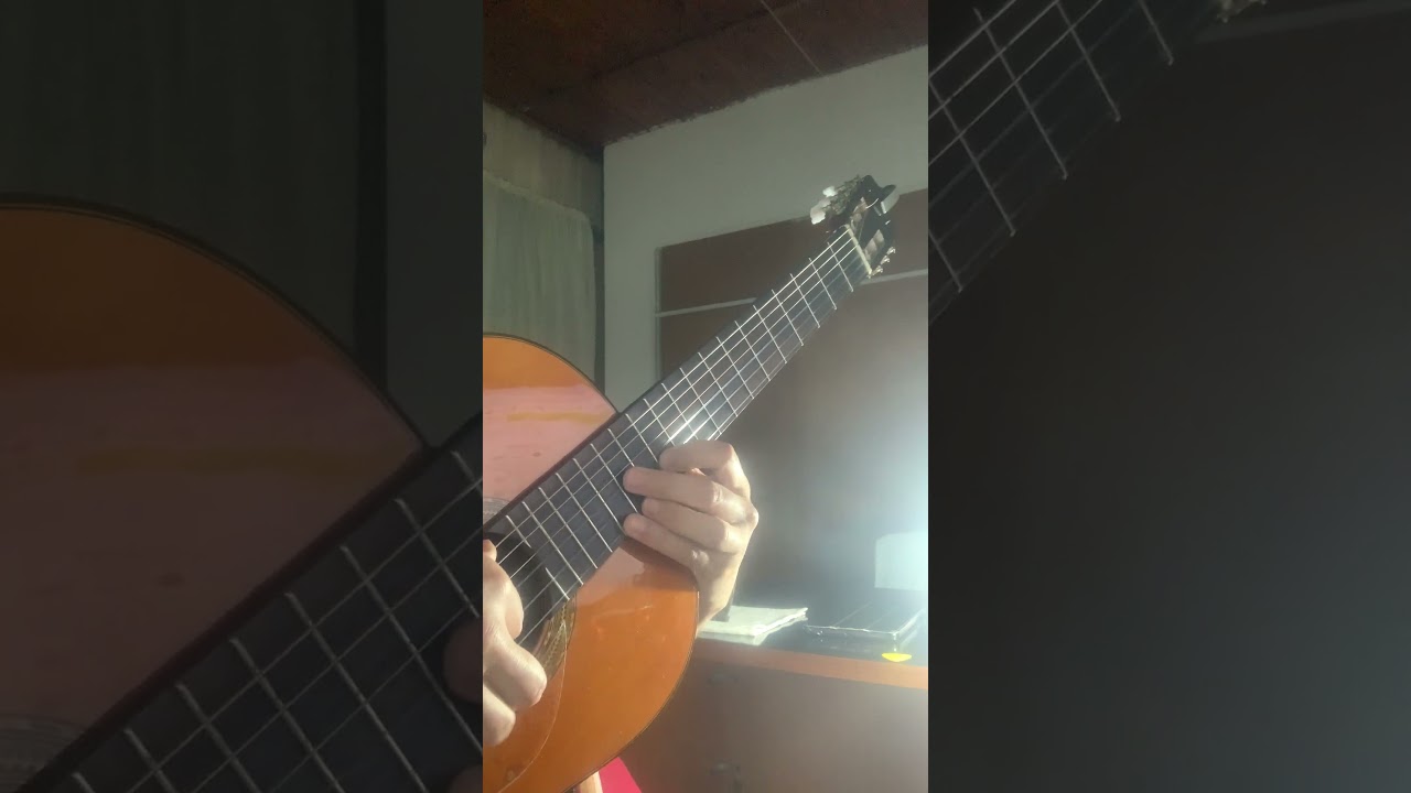 Gaviota de Puerto-intro #folkloreargentino #folklore #musicaargentina #zamba #tradicionalismo #music