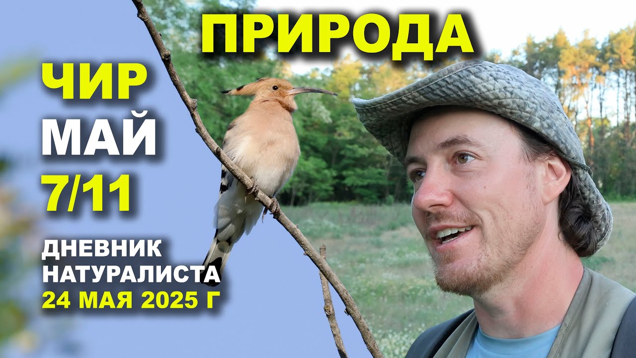 Природа Чира. 24 мая 2025 г.