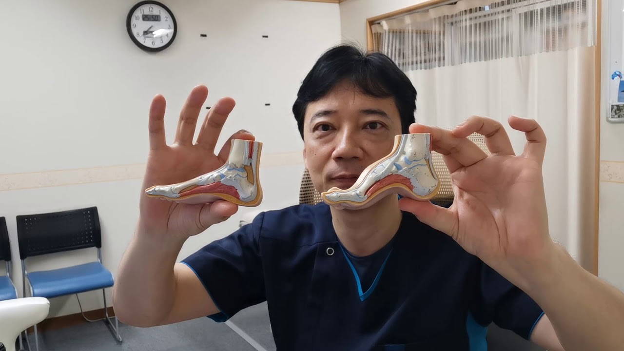 医師解説：5本指ソックスと土踏まず（アーチ）の関係