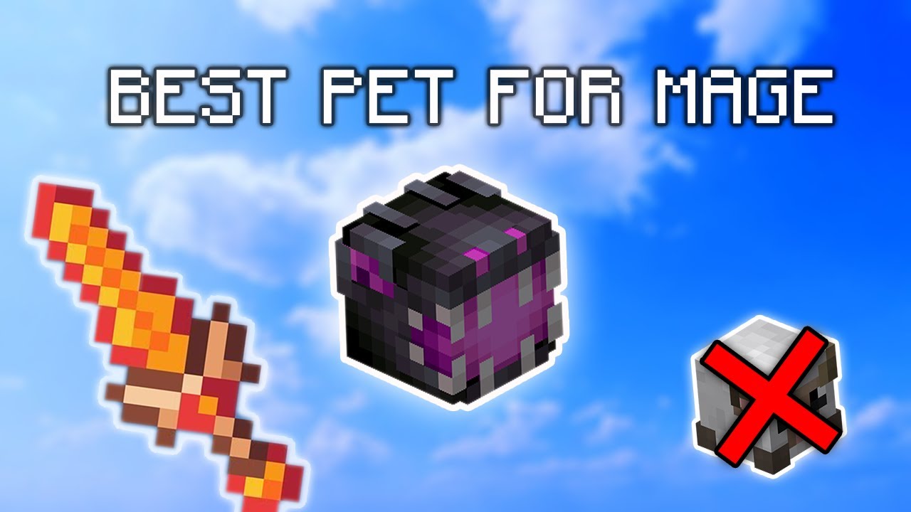 The best pet for mage | Hypixel skyblock