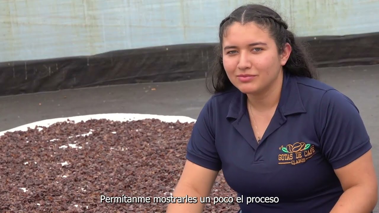 Gotas de caf&eacute;