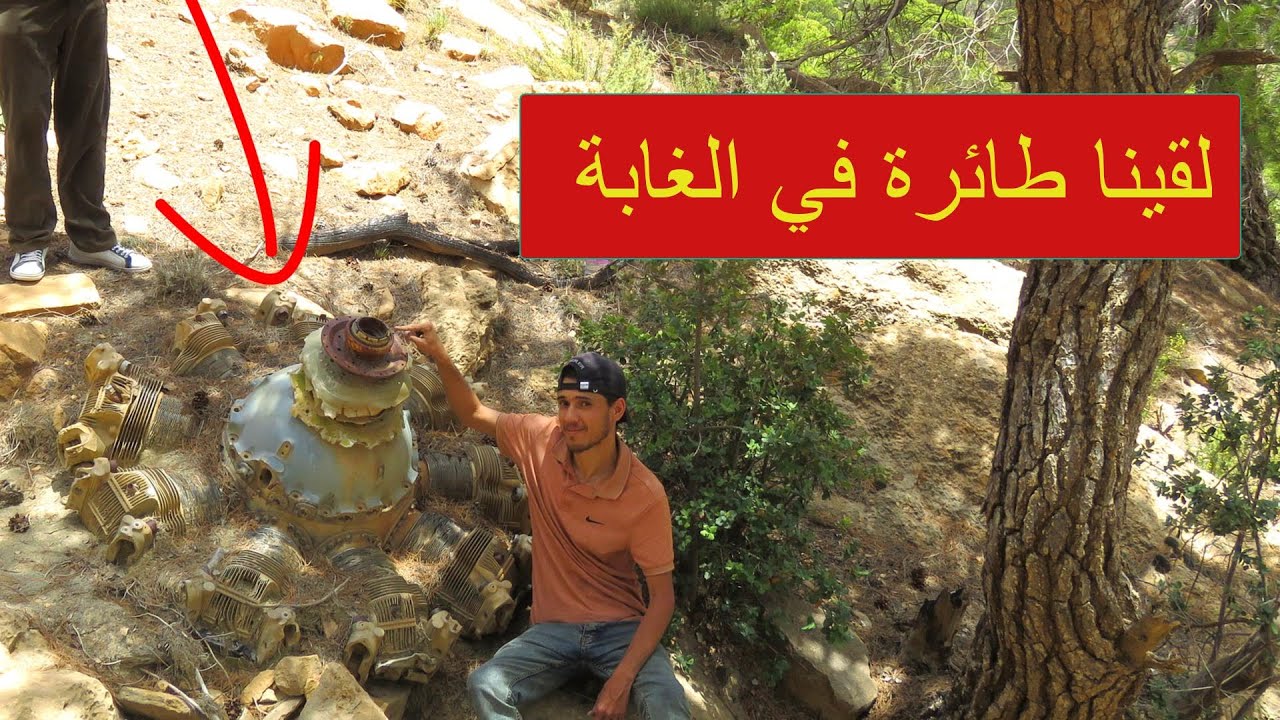 اكتشفنا طائرة فرنسية محطمة في غابة جزائرية معزولة
