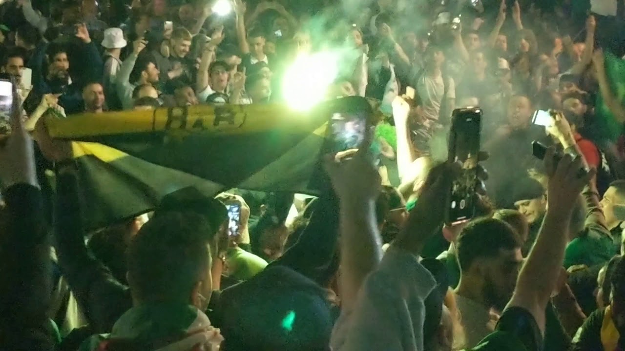 احتفالات الجزائريين في قلب لندن على الفوز بيكاس امم افريقيا