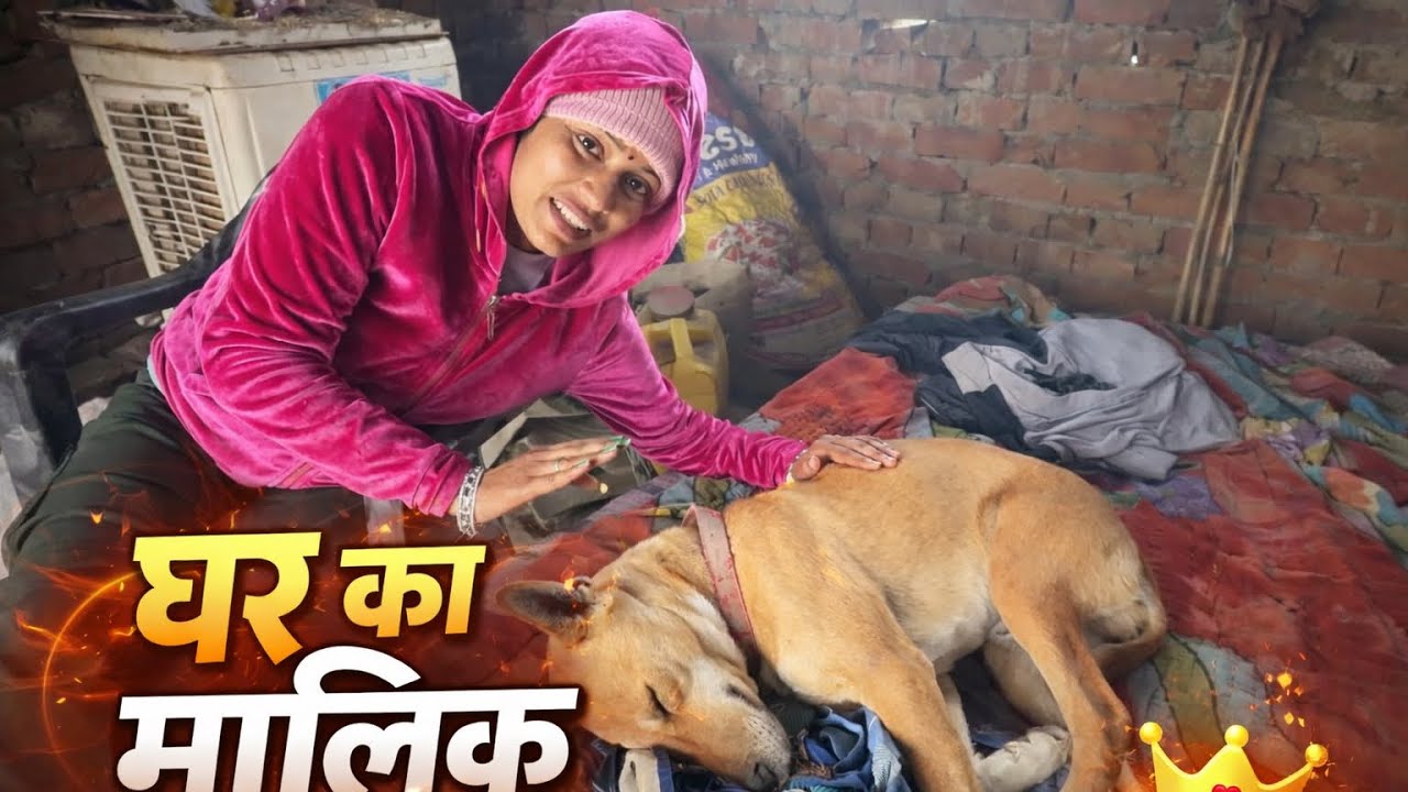 Moly ki yaad ayegi jab delhi chali jaungi #vlog #vlogs #pregnant #pregnancy 