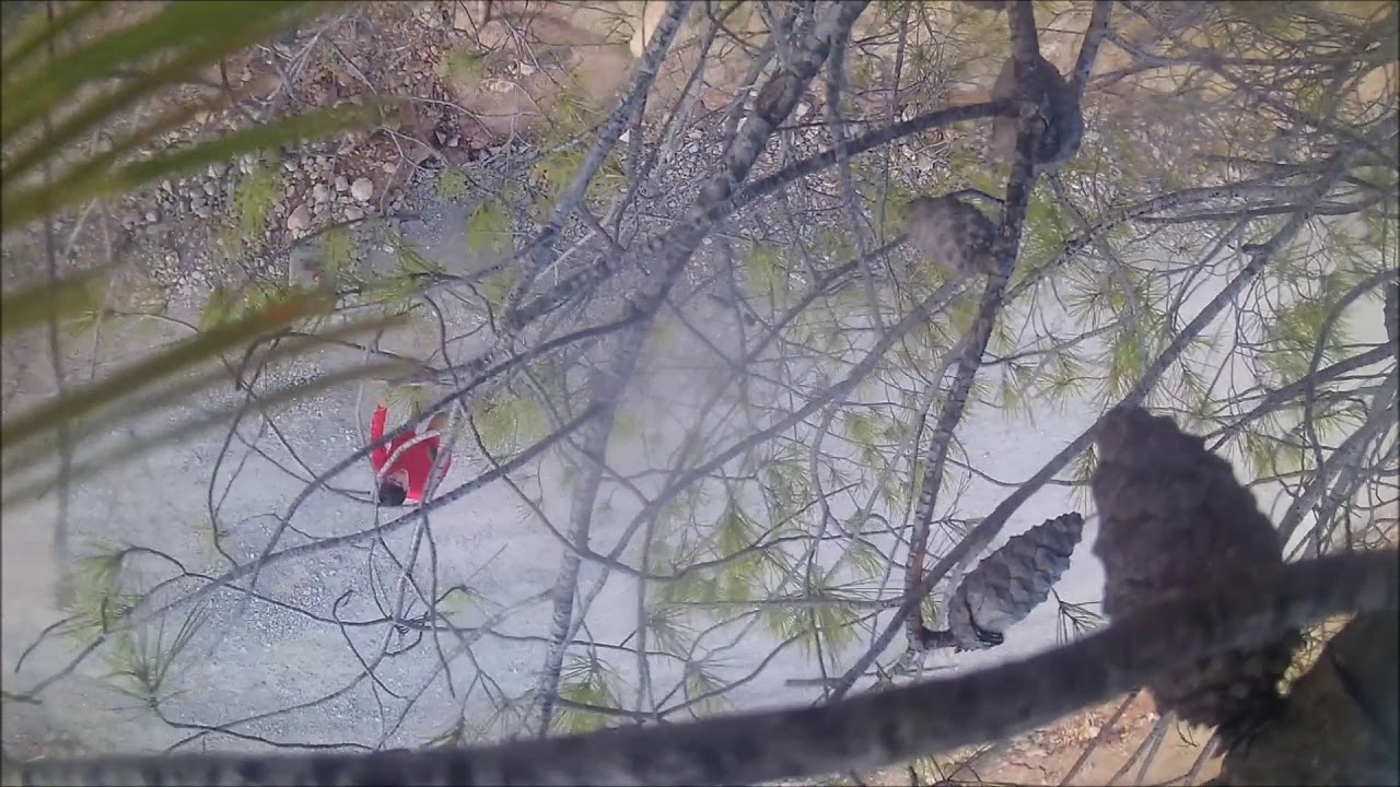 COMO RESCATAR TU DRONE
