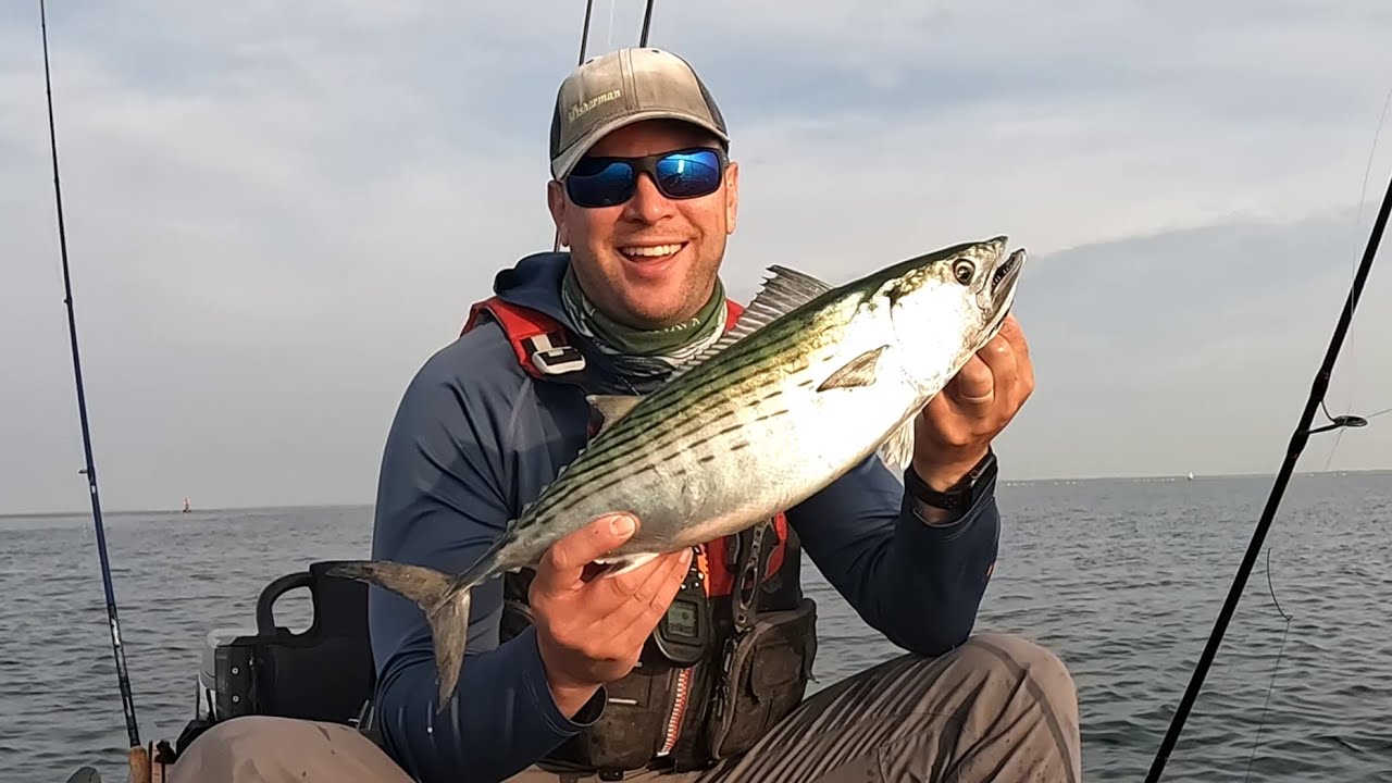 June MA Bonito! Plus Multiple Other Species!