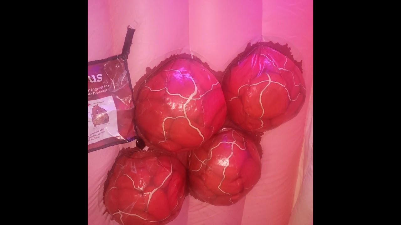 HealthWorks! Virtual Mega Heart Tour