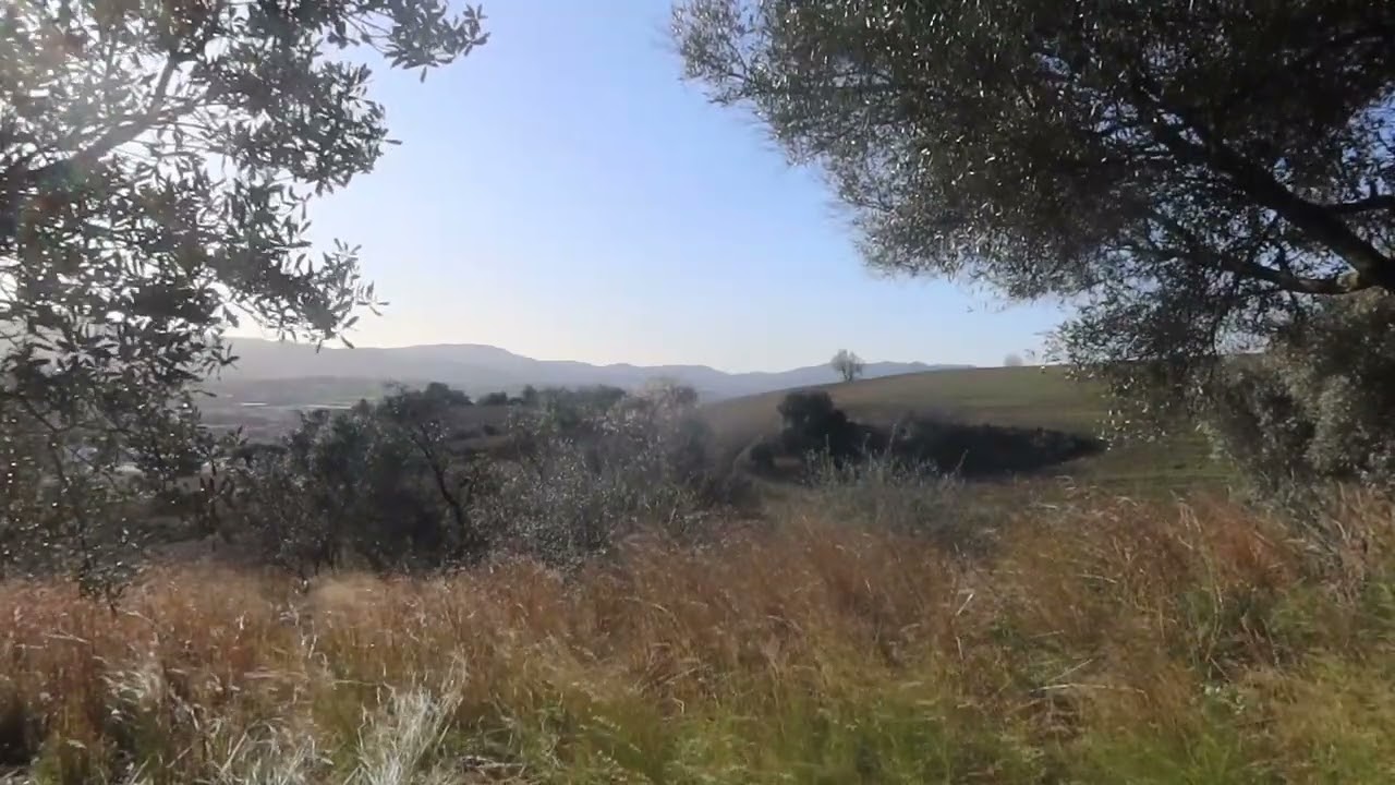 With the wind