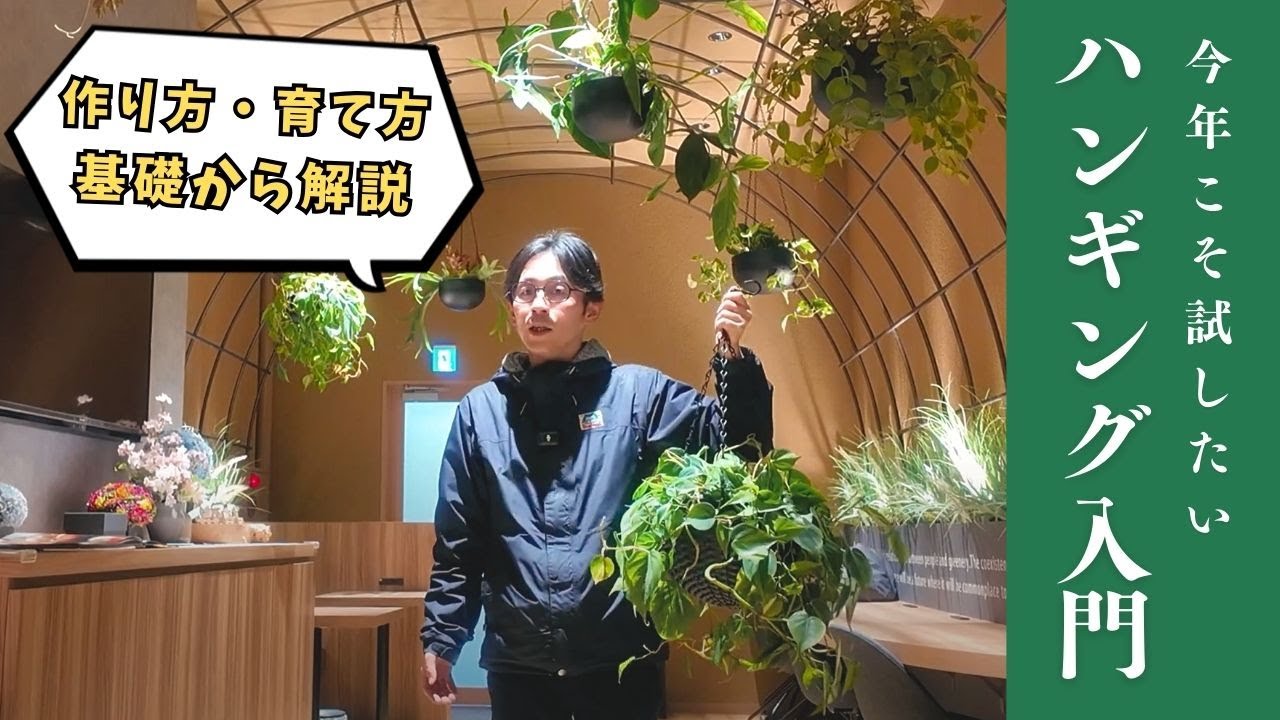 よくある悩みをプロが解決！初心者でもできるハンギンググリーンの作り方
