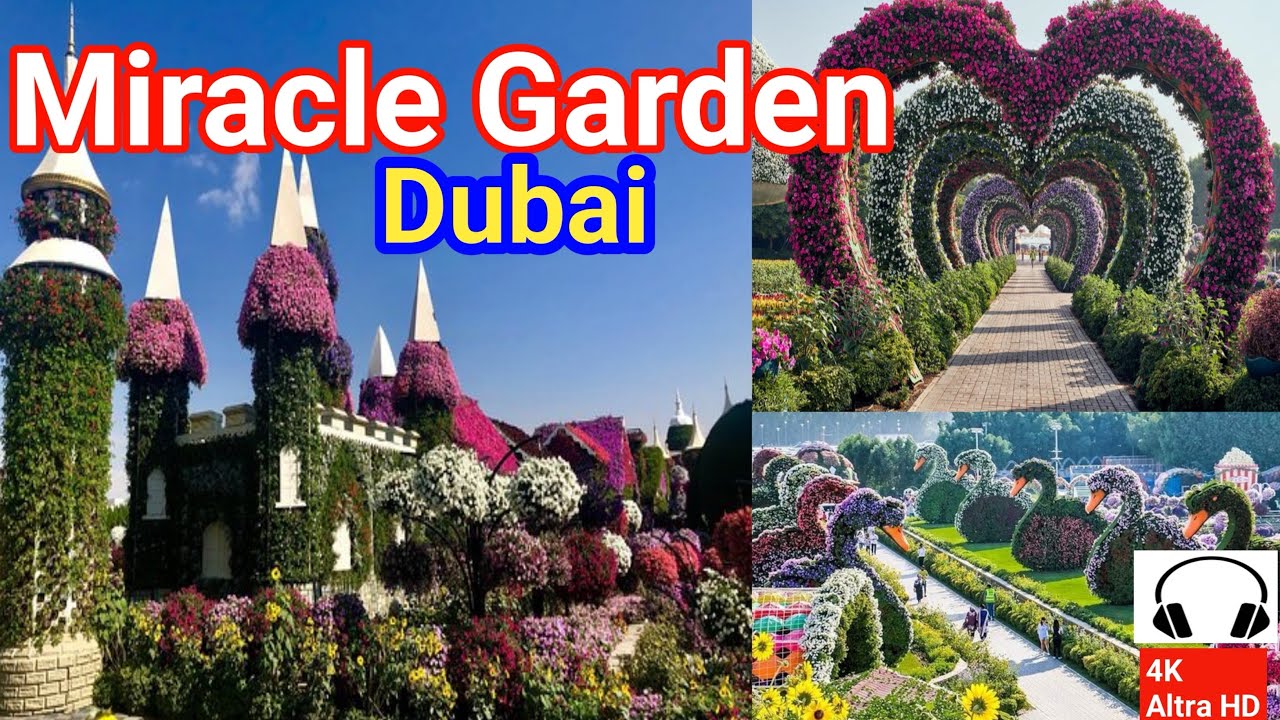 Miracle Garden Dubai: A Spectacular Floral Paradise 🌸 | Ultimate Dubai Garden Tour 2024