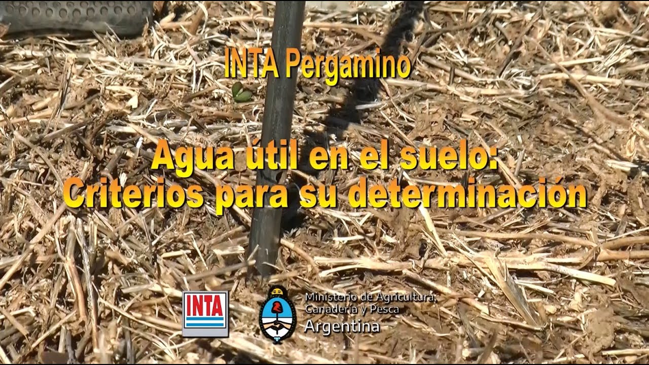 Agua útil en el suelo