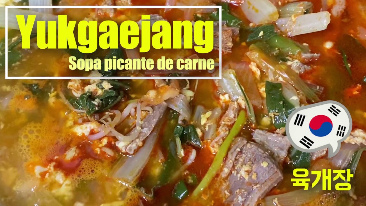 Yukgaejang - Sopa Coreana picante de Carne / Spicy beef soup (육개장)